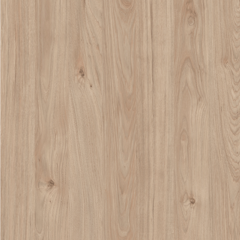 089 Honigkastanie senkrecht