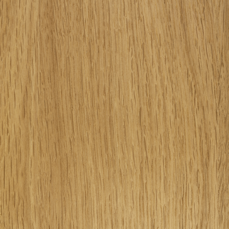 149 Eiche Kleinastig senkrecht